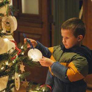 boy analyzes ornament tree