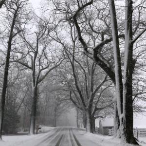 Russell Ave., Rockport (Photo by Lynda Clancy)