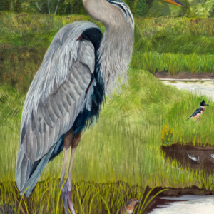 great blue heron watercolor