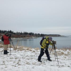 Jeff Wells and another birder scoping for sea ducks and loons on the Matinicus Island Christmas Bird Count. Courtesy of Bethany Woodworth.