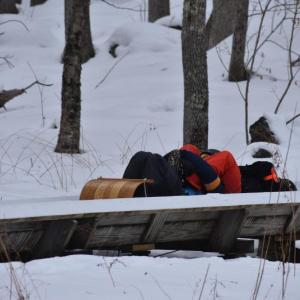 (Photo by Sarah Thompson)