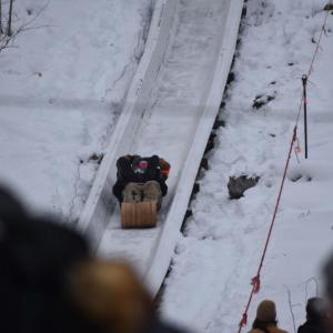 (Photo by Sarah Thompson)