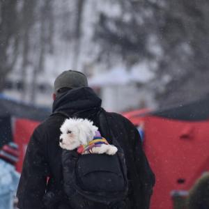 (Photo by Sarah Thompson)