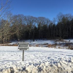 Picture of Head of Tide Preserve sign in winter