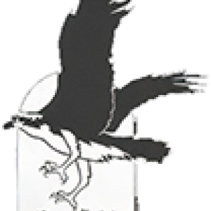 North Haven Community School logo