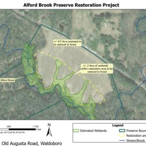Alfred Brook Restoration Project
