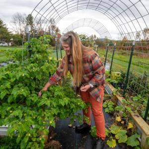 woman tends to plants under arched wire trellis