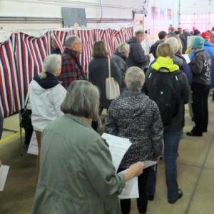 people stand in line to vote.