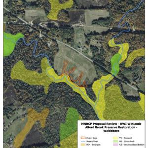 (Image courtesy Maine Natural Resource Conservation Program/Georges River Land Trust)