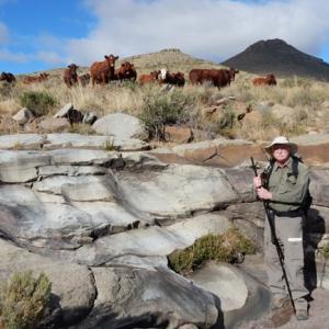 Bob Gastaldo with cows in background