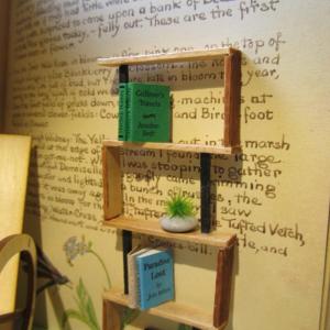 Photo by Kay Stephens