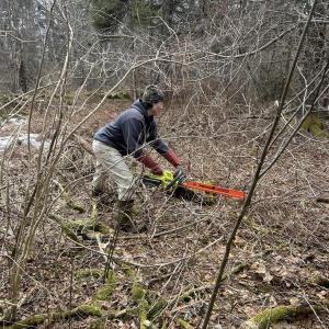 woman using chainsaw