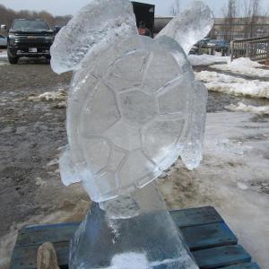 Photo by Kay Stephens