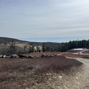 (Photo by Lynda Clancy)