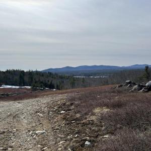 (Photo by Lynda Clancy)