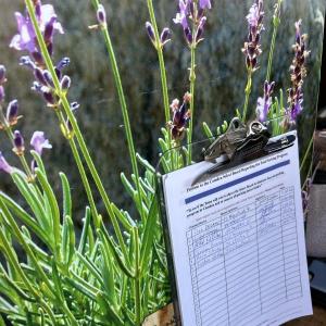 A petition on the counter at Lavender, a downtown Camden store. 
