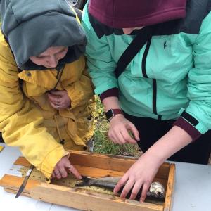 two people measure a fish