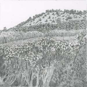 Peckerwood Creek, Alabama (Drawing by Rick Cronin)