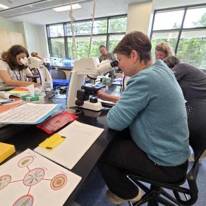 Teachers analyze data in the lab. Courtesy of Bigelow Laboratory