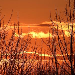 Sunset in Dresden (Photo courtesy Lee Emmons)