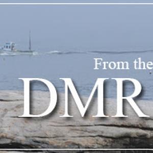 DMR Bulletin banner
