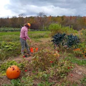 woman stands in autumn garden