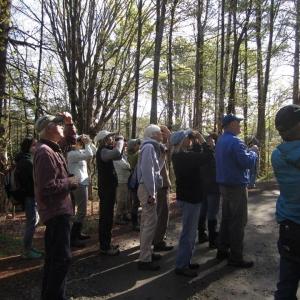 Group of adults looking up
