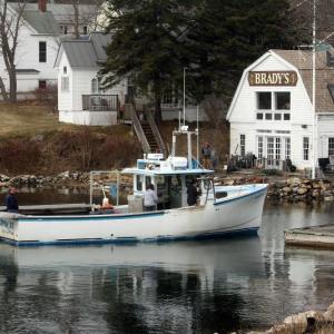 April Showers bring May Flowers