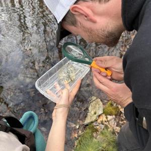 person peers at egg mass through magnifying glass