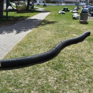 (Photo by Sarah Thompson)