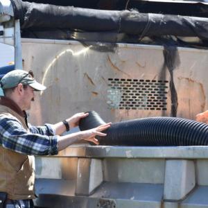 (Photo by Sarah Thompson)