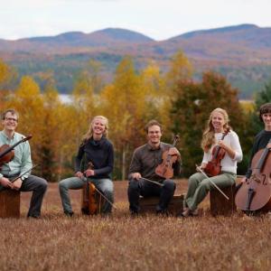 five musicians in a field