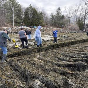 wider view of timbers