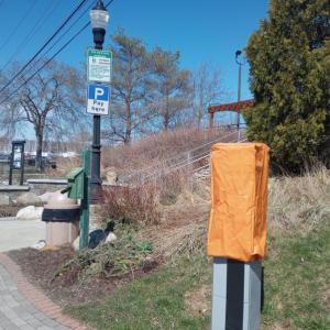 (Photo by Sarah Thompson)