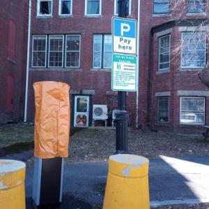 (Photo by Sarah Thompson)