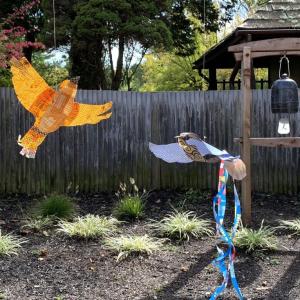 colorful bird art projects