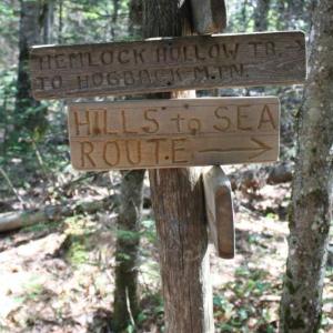 (Photo courtesy Hills to Sea Coalition)