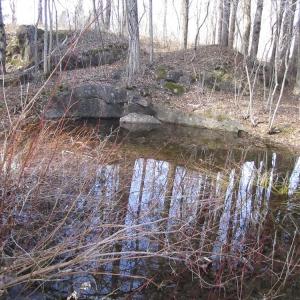 vernal pool