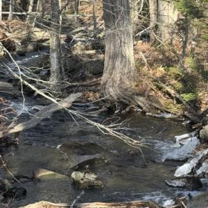 The snow melting off the hills swells Frohock Brook on its path the bay. (Photo by Tracee O’Brien)