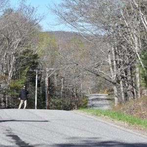 crest of hill, from the north
