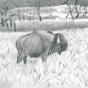 Fort Niobrara Reserve, Nebraska