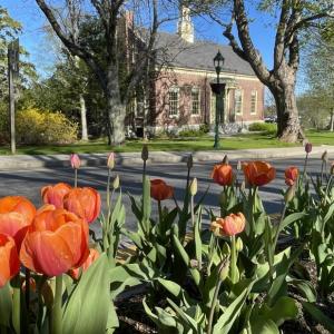 Don't Miss the Display of Color in the center of Camden