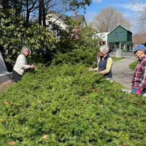 Pruning Makes the Heart Grow Fonder