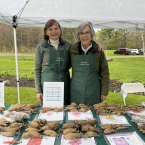 No Weather Stops a Good Plants Sale