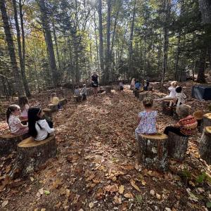 students sit on tree stumps