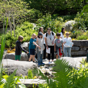 A group enjoying Maine Days in 2025. Image courtesy of Coastal Maine Botanical Gardens