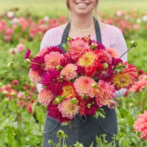 Create Spectacular Aumtumn Color in Your Garden