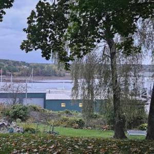 foreground garden space, harbor in background