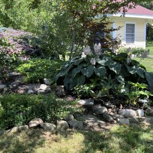 landscape design