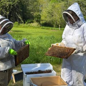 Walk to the Merryspring Nature Center Beehives with Dick Vermeulen